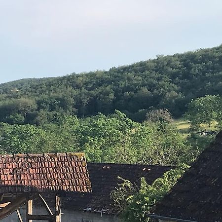 Maison Familiale Au Coeur Du Lot Lanzac Esterno foto